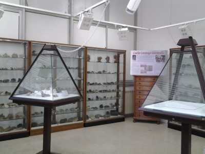 Museo di scienze naturali, settore mineralogico e petrografico: la collezione di minerali e silicati